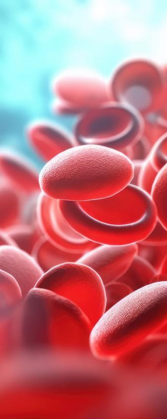 blood cells