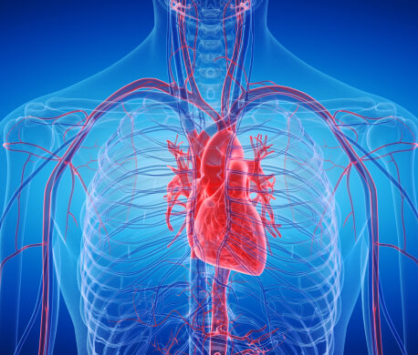 heart image