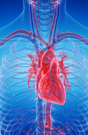 heart image