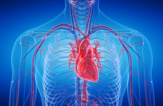 heart image