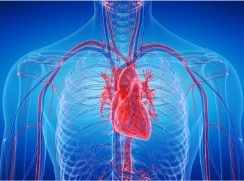 heart image