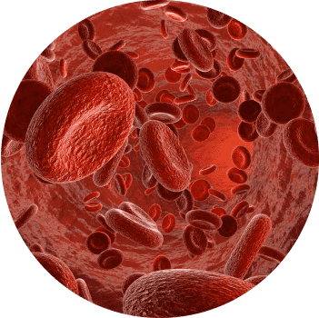 Circle Image